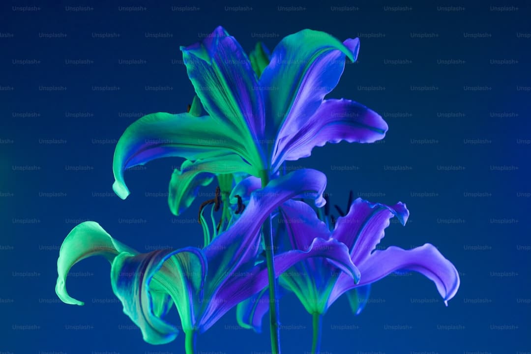易烊千玺唱《送你一朵小红花》数度呜咽:这首歌或许只唱这一次